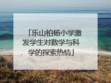 乐山柏杨小学激发学生对数学与科学的探索热情
