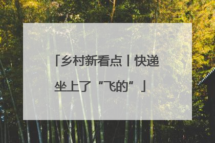 乡村新看点丨快递坐上了“飞的”