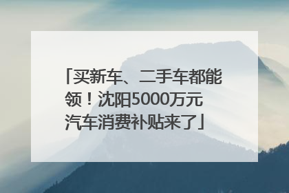 买新车、二手车都能领！沈阳5000万元汽车消费补贴来了