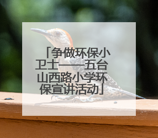 争做环保小卫士——五台山西路小学环保宣讲活动