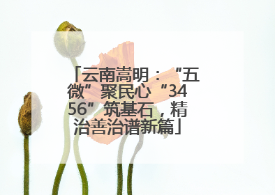 云南嵩明：“五微”聚民心“3456”筑基石，精治善治谱新篇