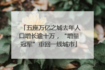 五座万亿之城去年人口增长逾十万，“增量冠军”重回一线城市
