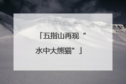 五指山再现“水中大熊猫”