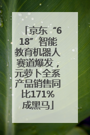 京东“618”智能教育机器人赛道爆发，元萝卜全系产品销售同比171%成黑马