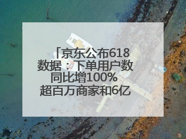 京东公布618数据：下单用户数同比增100% 超百万商家和6亿消费者受益AI