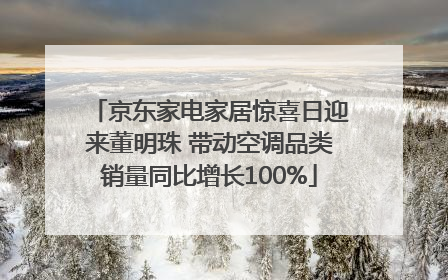 京东家电家居惊喜日迎来董明珠 带动空调品类销量同比增长100%