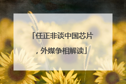 任正非谈中国芯片，外媒争相解读