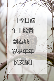 今日端午丨粽香飘春城，岁岁年年长安康
