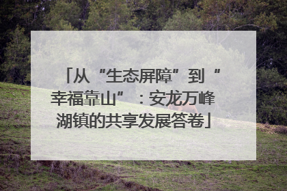 从“生态屏障”到“幸福靠山”：安龙万峰湖镇的共享发展答卷