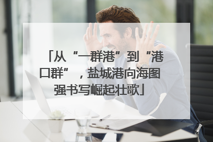 从“一群港”到“港口群”，盐城港向海图强书写崛起壮歌