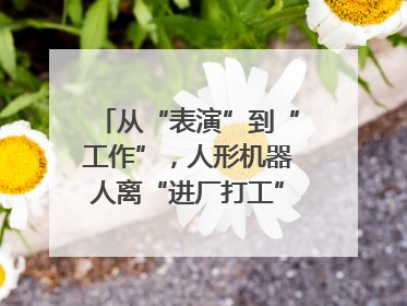 从“表演”到“工作”，人形机器人离“进厂打工”还有多久？｜机器人商业新纪元