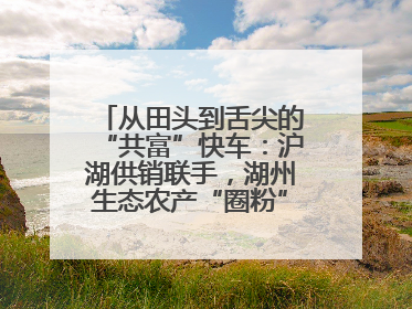 从田头到舌尖的“共富”快车：沪湖供销联手，湖州生态农产“圈粉”大上海