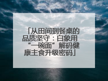 从田间到餐桌的品质坚守：白象用“一碗面”解码健康主食升级密码
