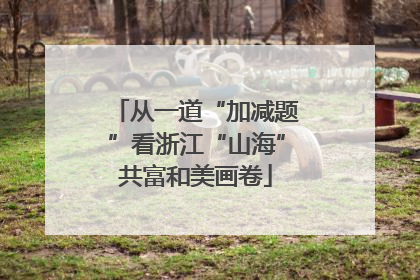 从一道“加减题”看浙江“山海”共富和美画卷