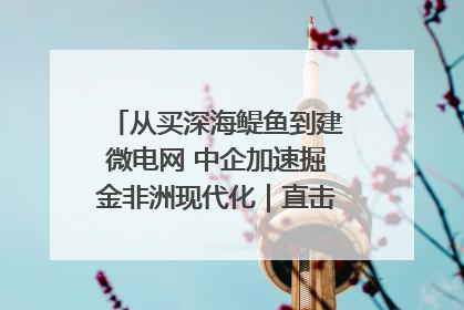 从买深海鳀鱼到建微电网 中企加速掘金非洲现代化｜直击中非经贸博览会