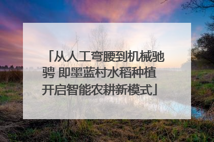 从人工弯腰到机械驰骋 即墨蓝村水稻种植开启智能农耕新模式