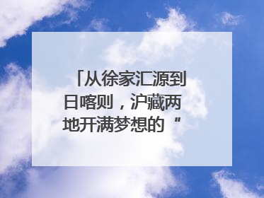 从徐家汇源到日喀则，沪藏两地开满梦想的“格桑花”！