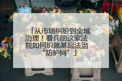 从市场纠纷到全域治理！看兵团这家法院如何织就基层法治 “防护网”