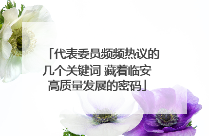 代表委员频频热议的几个关键词 藏着临安高质量发展的密码