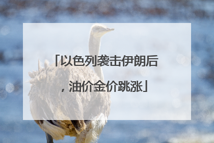 以色列袭击伊朗后，油价金价跳涨