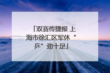 双赛传捷报 上海市徐汇区军休“乒”劲十足