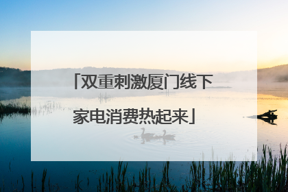 双重刺激厦门线下家电消费热起来