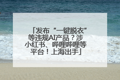 发布“一键脱衣”等违规AI产品？涉小红书、哔哩哔哩等平台！上海出手
