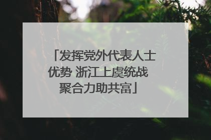 发挥党外代表人士优势 浙江上虞统战聚合力助共富