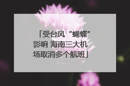 受台风“蝴蝶”影响 海南三大机场取消多个航班