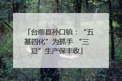 台前县孙口镇：“五基四化”为抓手 “三夏”生产保丰收