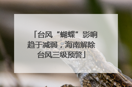 台风“蝴蝶”影响趋于减弱，海南解除台风三级预警