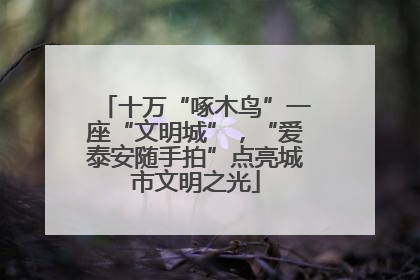 十万“啄木鸟”一座“文明城”，“爱泰安随手拍”点亮城市文明之光