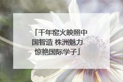 千年窑火映照中国智造 株洲魅力惊艳国际学子