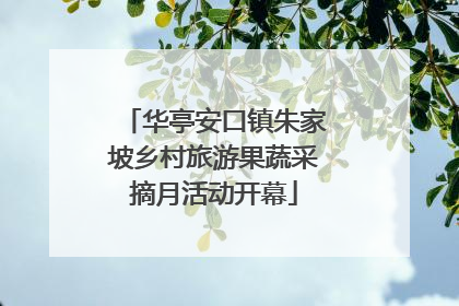 华亭安口镇朱家坡乡村旅游果蔬采摘月活动开幕