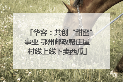 华容：共创“甜蜜”事业 鄂州邮政帮庄屋村线上线下卖西瓜