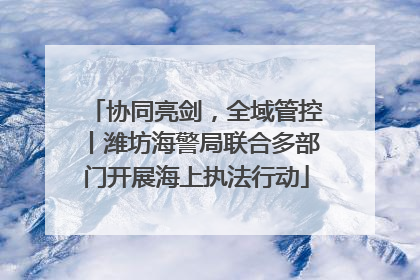协同亮剑，全域管控丨潍坊海警局联合多部门开展海上执法行动