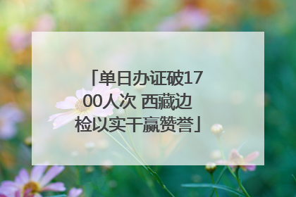 单日办证破1700人次 西藏边检以实干赢赞誉