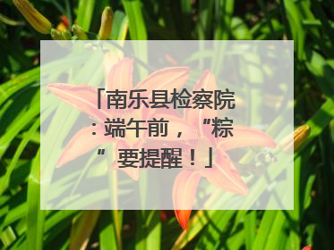 南乐县检察院：端午前，“粽”要提醒！