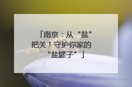 南京：从“盐”把关！守护你家的“盐罐子”