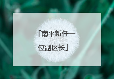 南平新任一位副区长