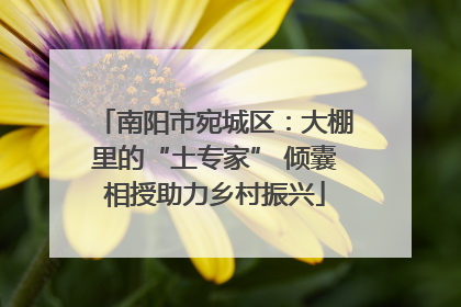 南阳市宛城区：大棚里的“土专家” 倾囊相授助力乡村振兴