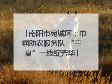 南阳市宛城区：巾帼助农服务队 “三夏”一线绽芳华
