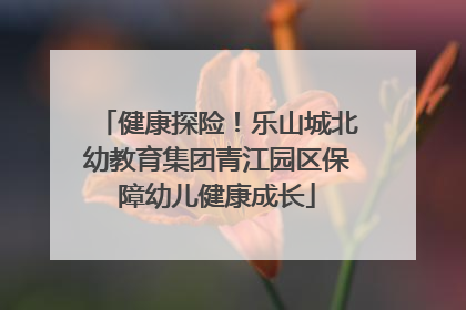 健康探险！乐山城北幼教育集团青江园区保障幼儿健康成长
