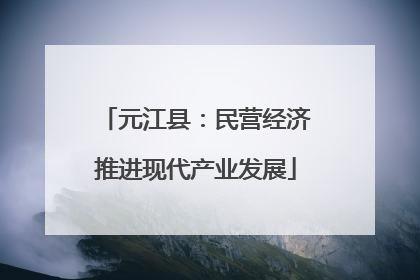 元江县：民营经济推进现代产业发展