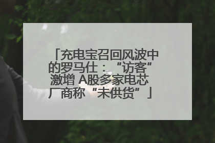 充电宝召回风波中的罗马仕：“访客”激增 A股多家电芯厂商称“未供货”