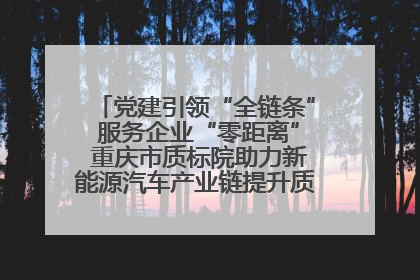 党建引领“全链条” 服务企业“零距离” 重庆市质标院助力新能源汽车产业链提升质量管理水平