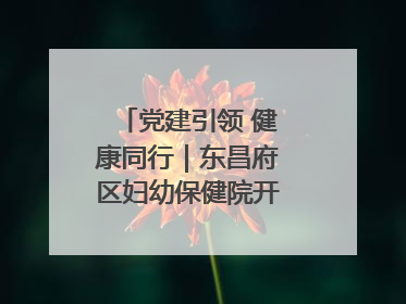 党建引领 健康同行｜东昌府区妇幼保健院开启共建新篇章