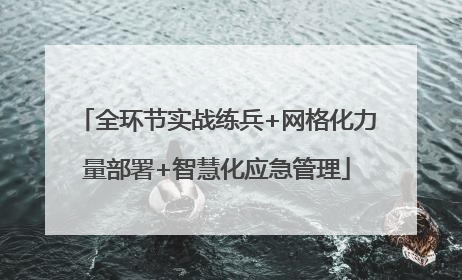 全环节实战练兵+网格化力量部署+智慧化应急管理