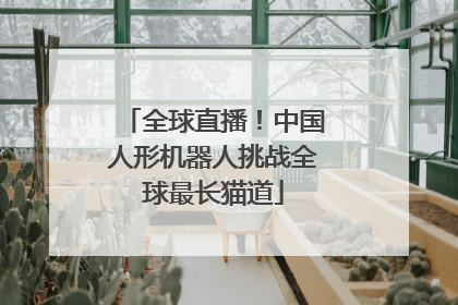 全球直播！中国人形机器人挑战全球最长猫道