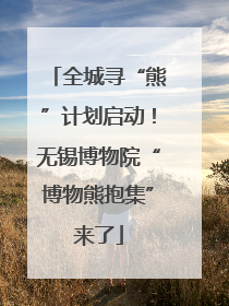 全城寻“熊”计划启动！无锡博物院“博物熊抱集”来了